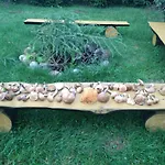 Amalka Wita Holiday home Suleczyno