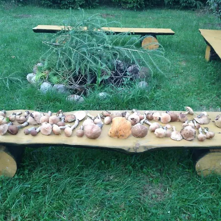 Amalka Wita Casa vacanze Sulęczyno