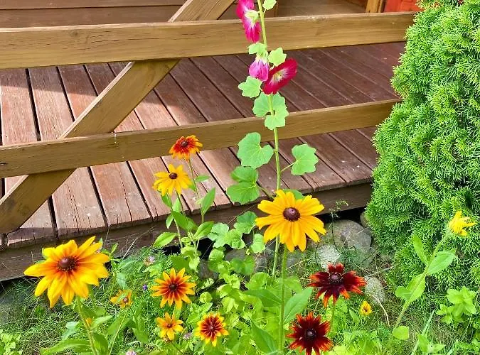 Amalka Wita Dom wakacyjny *