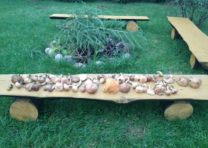 Amalka Wita Dom wakacyjny Sulęczyno