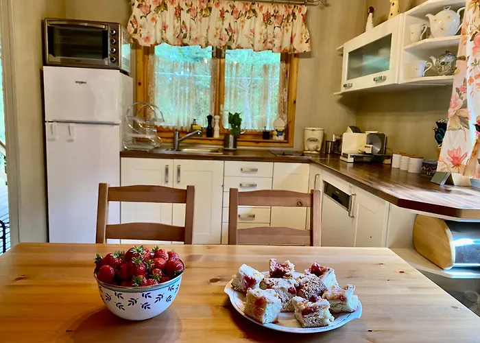 Amalka Wita Sulęczyno